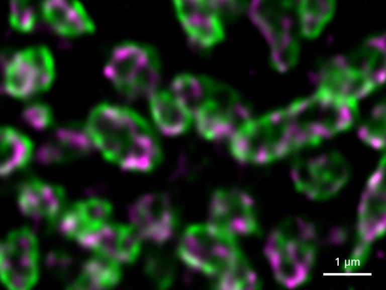 图片关键词 图片关键词