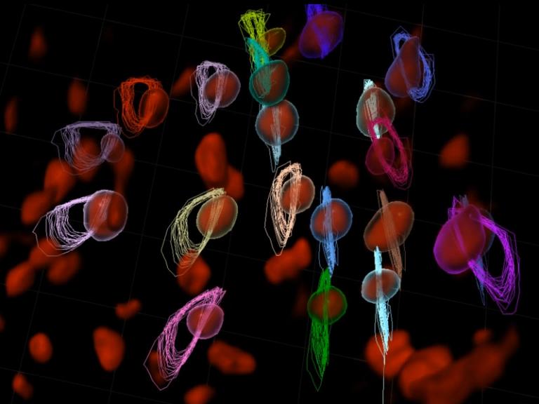 图片关键词 图片关键词