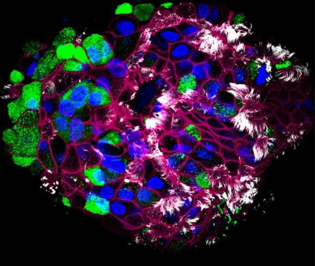 图片关键词 图片关键词