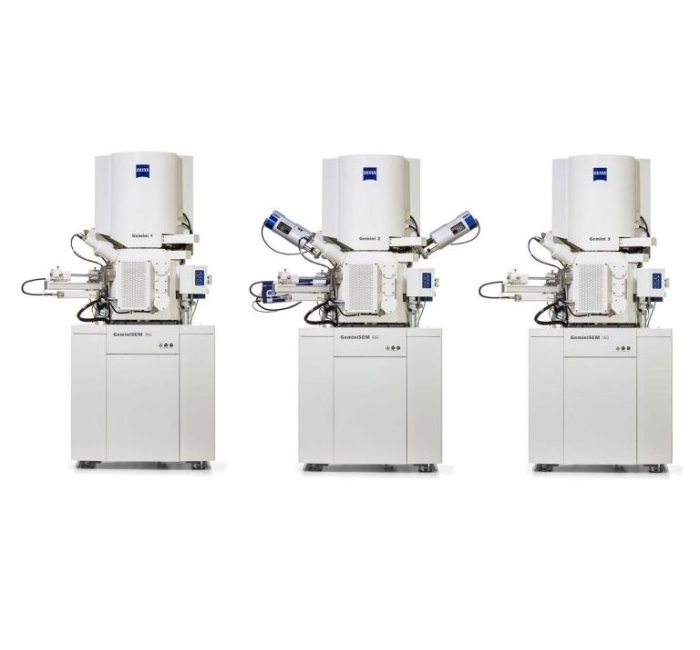 蔡司Gemini FE-SEM